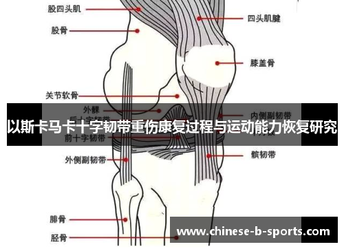 以斯卡马卡十字韧带重伤康复过程与运动能力恢复研究 以斯卡马卡十字韧带重伤康复过程与运动能力恢复研究
